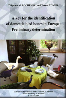 A key for the identification of domestic bird bones in Europe: preliminary determination